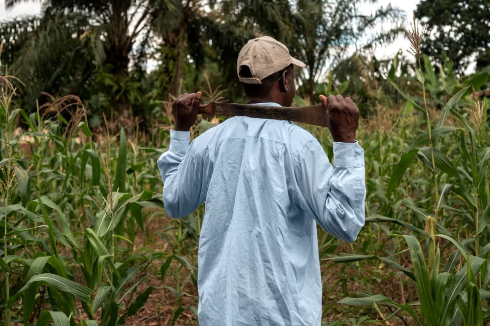 Agricultural production in Africa